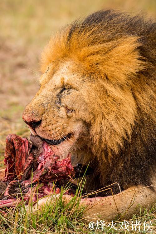卢库米对小孔塞桑的出格举动：先抱起再重摔倒地
